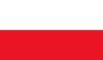 Polski język